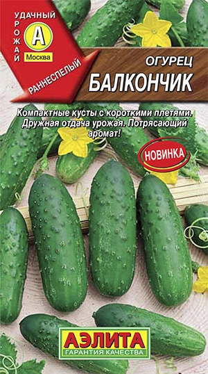 Огурец Балкончик: описание и характеристики сорта, правила посадки и ...