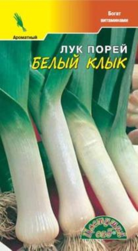 Лук Белый клык: описание и характеристики сорта, агротехника посадки и ...