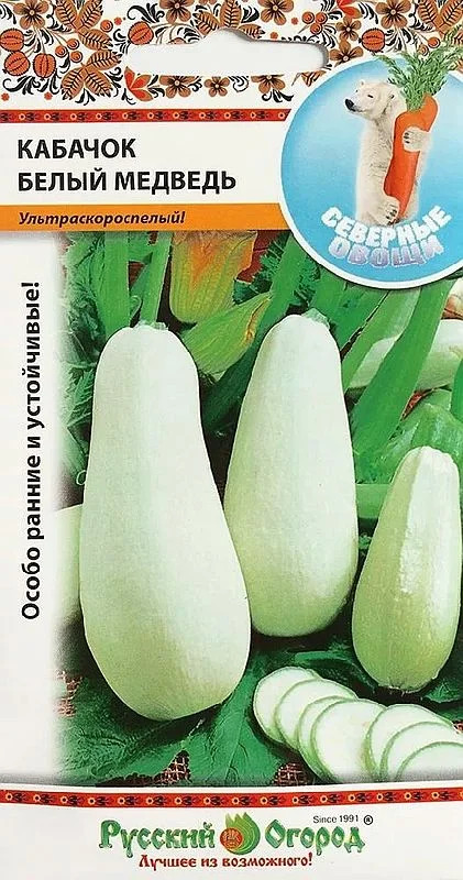 Кабачок Белый медведь: описание и характеристики сорта, особенности ...