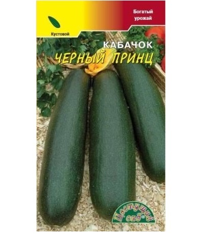 Кабачок Черный принц: описание и характеристики сорта, особенности ...