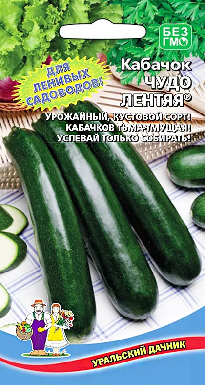 Кабачок Чудо лентяя: описание и характеристики сорта, особенности ...