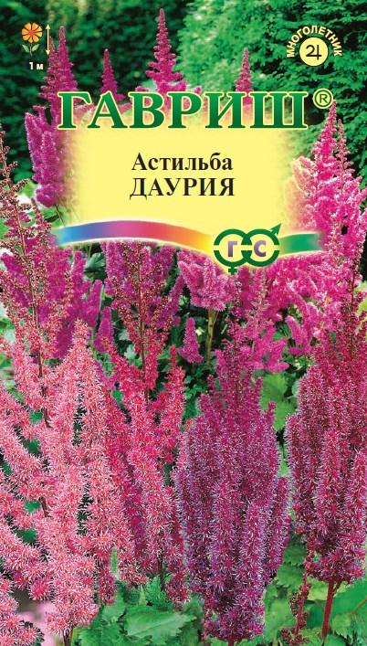 Астильба Даурия: описание сорта, характеристики, особенности посадки и ...