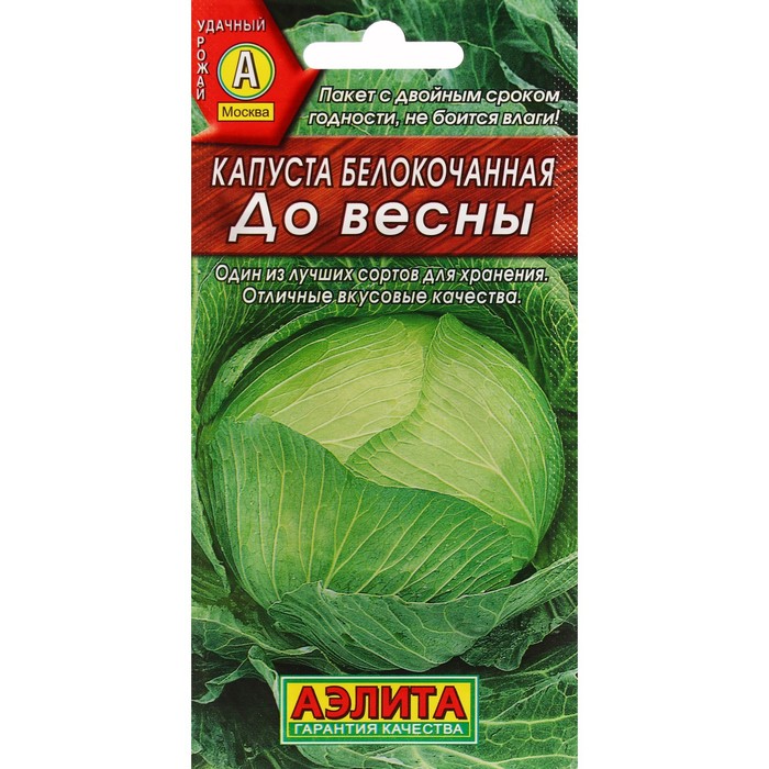 Капуста До весны: описание и характеристики сорта, особенности ...
