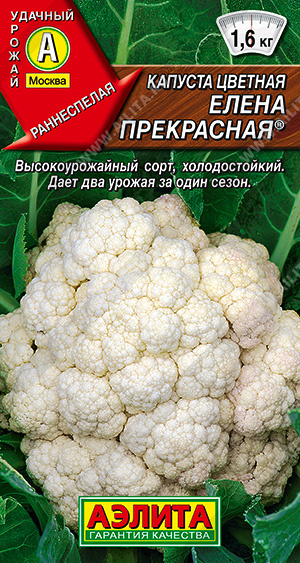 Капуста цветная Елена Прекрасная: особенности и характеристики сорта ...