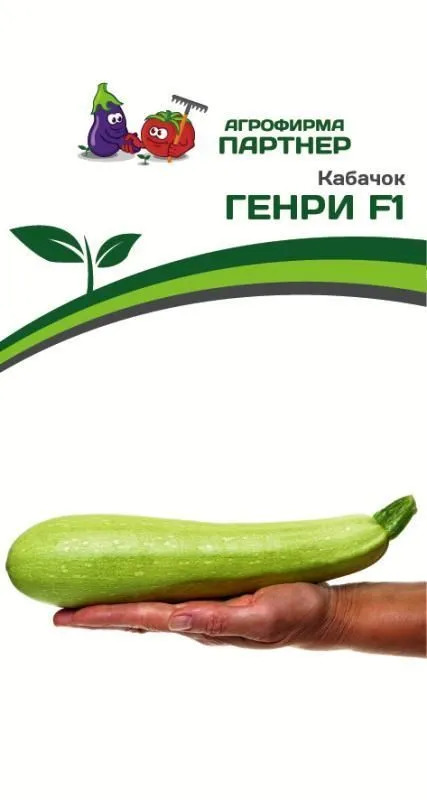 Кабачок Генри: описание и характеристики сорта, особенности посадки и ...