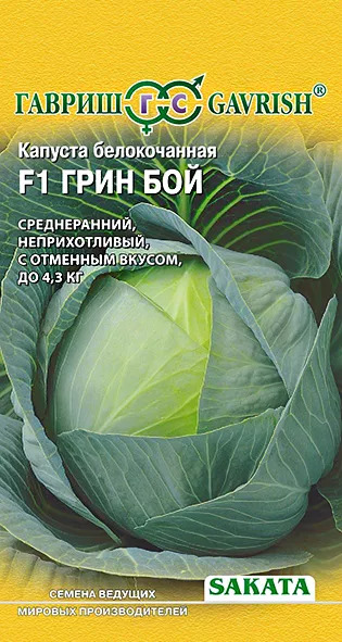 Капуста Грин Бой: описание и характеристики сорта, особенности ...