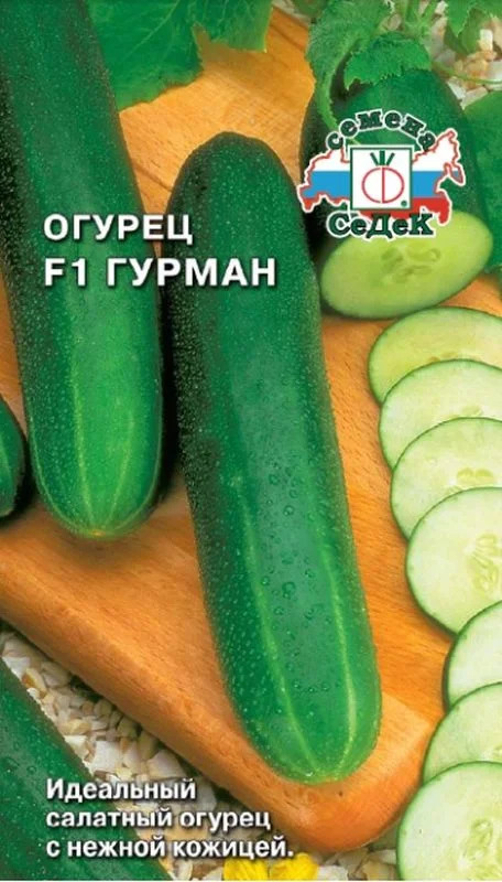 Огурец Гурман: описание и характеристики сорта, правила посадки и ...