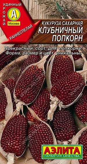 Кукуруза Клубничный попкорн: описание сорта, характеристики ...