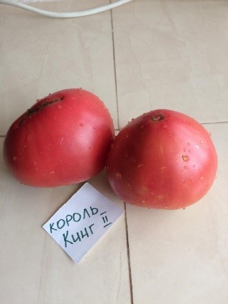 Томат Король Кинг-2: описание сорта помидоров, характеристики ...
