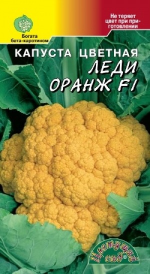 Капуста цветная Леди Оранж: особенности и характеристики сорта ...