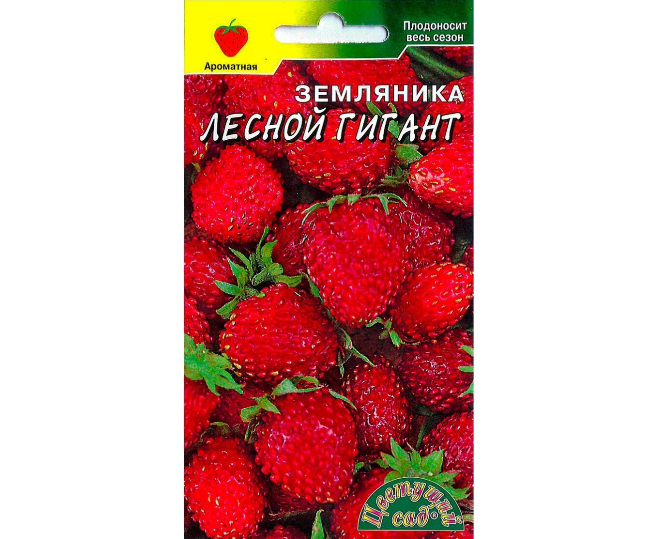 Клубника Лесной гигант: описание и характеристики сорта садовой ...