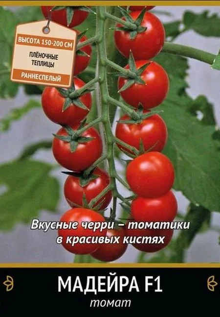 Томат Мадейра: описание сорта помидоров, характеристики. Особенности ...