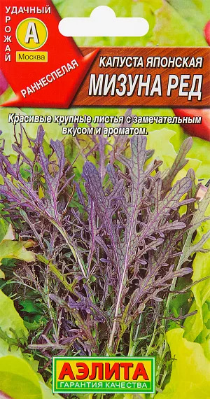 Капуста японская Мизуна ред (Мизуна красная): описание и характеристики ...