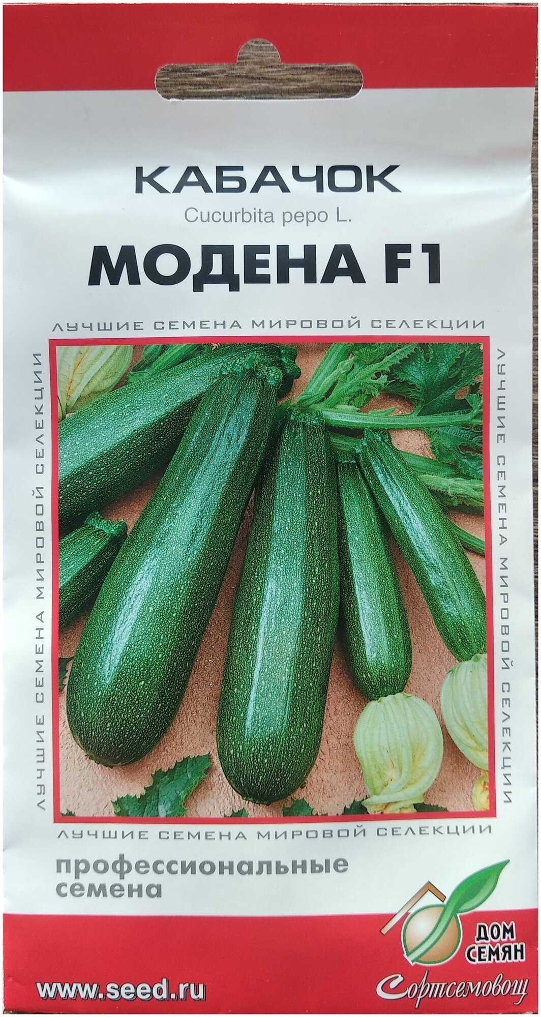 Кабачок Модена: описание и характеристики сорта, особенности посадки и ...