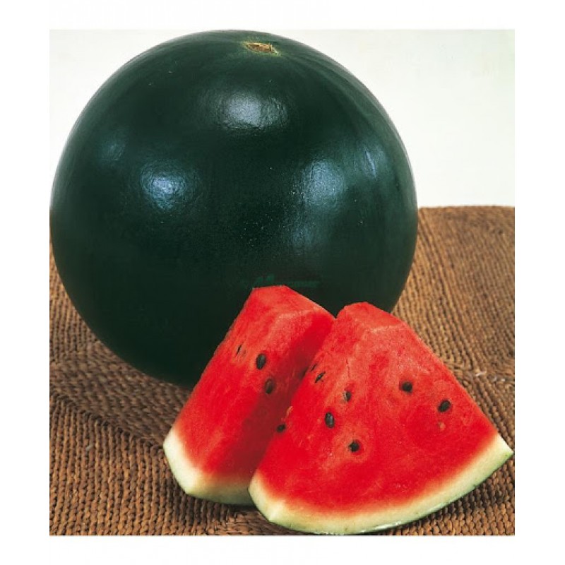 Арбуз Мулат F1: особенности сорта, характеристика плодов, агротехника ...