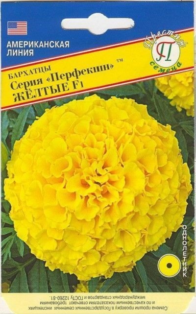 Бархатцы Перфекшн Желтые: описание и характеристики сорта бархоток ...