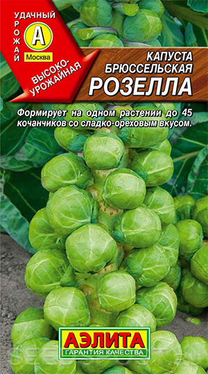 Капуста брюссельская Розелла: описание и характеристики сорта ...