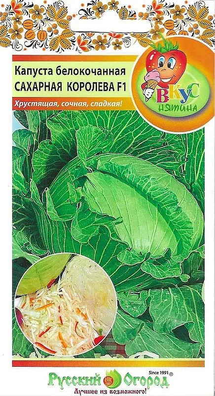 Капуста Сахарная королева: описание и характеристики сорта, особенности ...