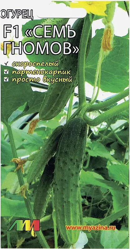 Огурец Семь гномов: описание и характеристики сорта, правила посадки и ...