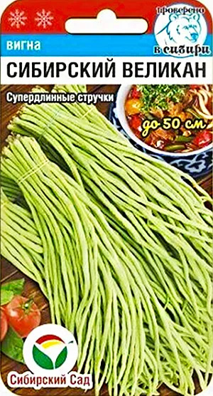 Вигна Сибирский великан: описание и характеристики сорта, правила ...