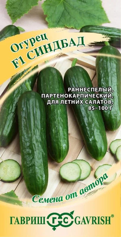 Огурец Синдбад: описание и характеристики сорта, правила посадки и ...