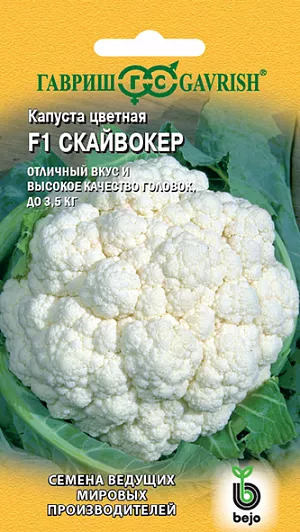 Капуста цветная Скайвокер: особенности и характеристики сорта ...