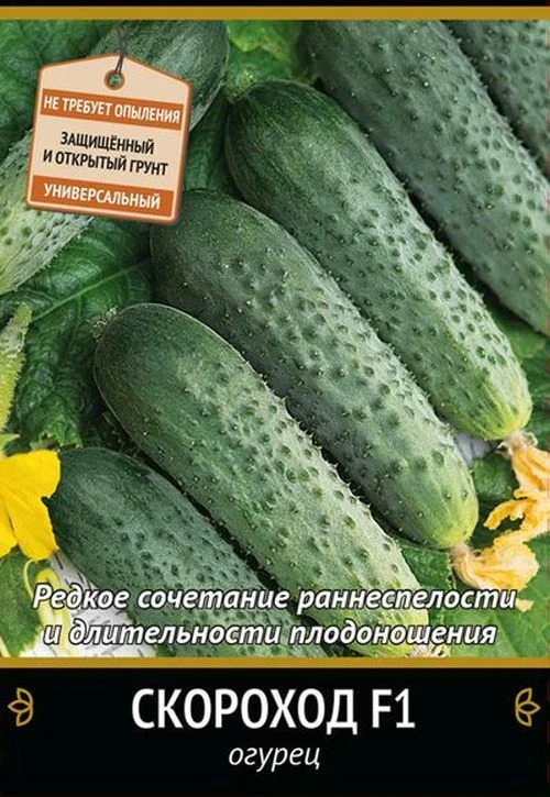 Огурец Скороход: описание и характеристики сорта, правила посадки и ...