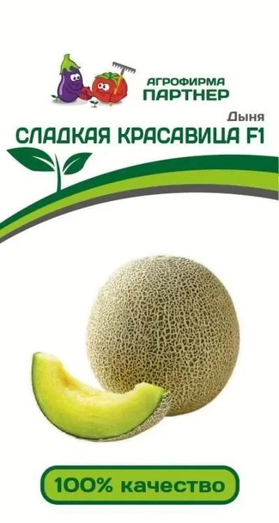 Дыня Сладкая Красавица: описание и характеристики сорта, особенности ...