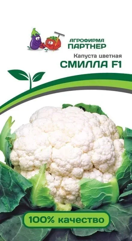 Капуста цветная Смилла: особенности и характеристики сорта, агротехника ...