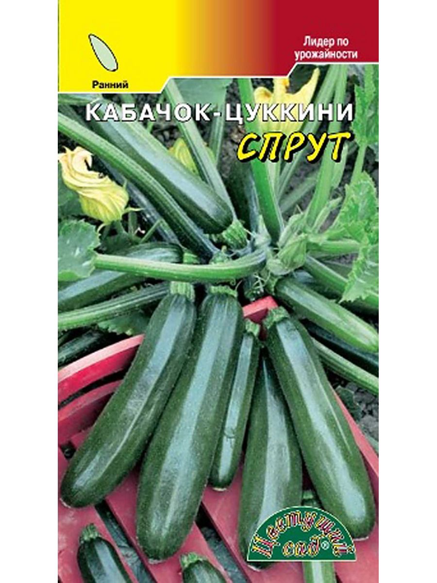 Кабачок Спрут: описание и характеристики сорта, особенности посадки и ...