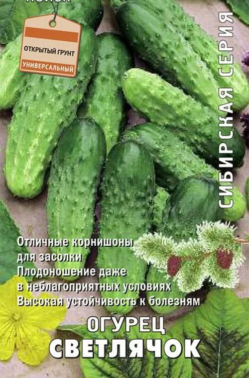 Огурец Светлячок: описание и характеристики сорта, правила посадки и ...