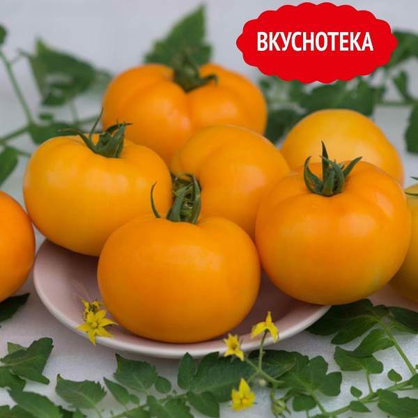 Томат Сюрприз жёлтый: описание сорта помидоров, характеристики ...