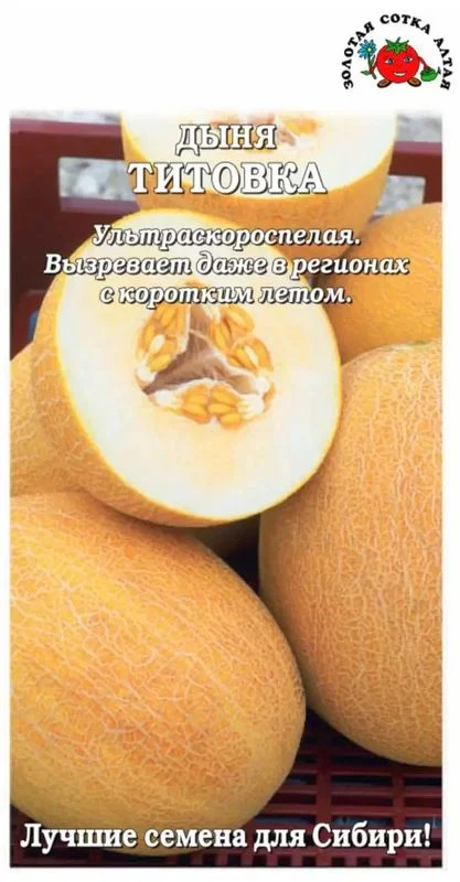 Дыня Титовка: описание и характеристики сорта, особенности посадки и ...