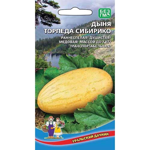 Дыня Торпеда Сибирико: описание и характеристики сорта, особенности ...