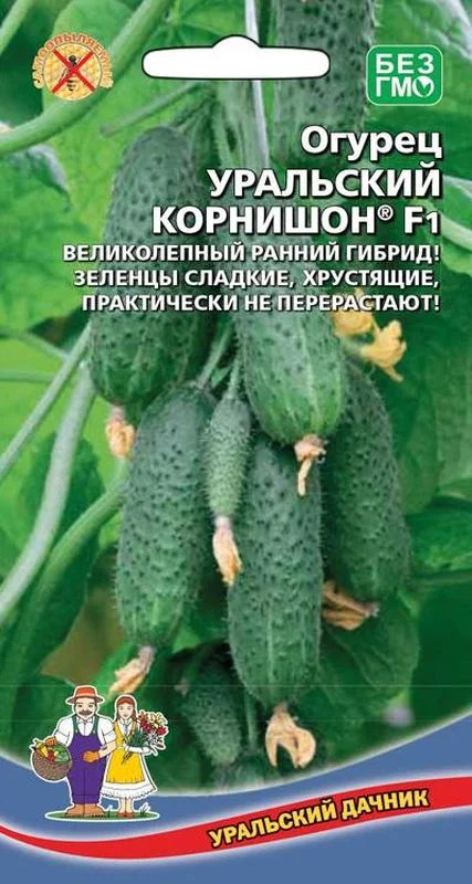 Огурец Уральский корнишон: описание и характеристики сорта, правила ...