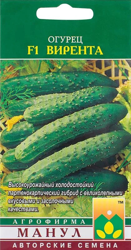 Огурец Вирента: описание и характеристики сорта, правила посадки и ...