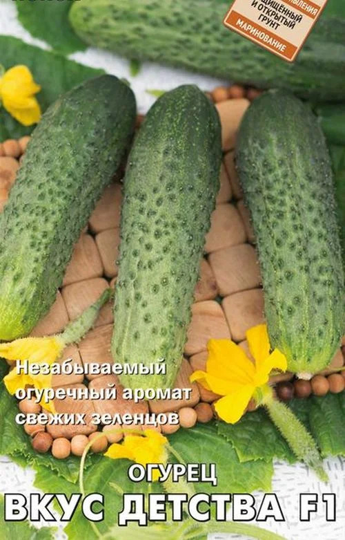 Огурец Вкус детства: описание и характеристики сорта, правила посадки и ...
