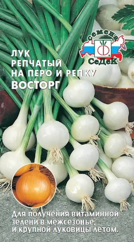 Лук Восторг: описание и характеристики сорта, агротехника посадки и ...