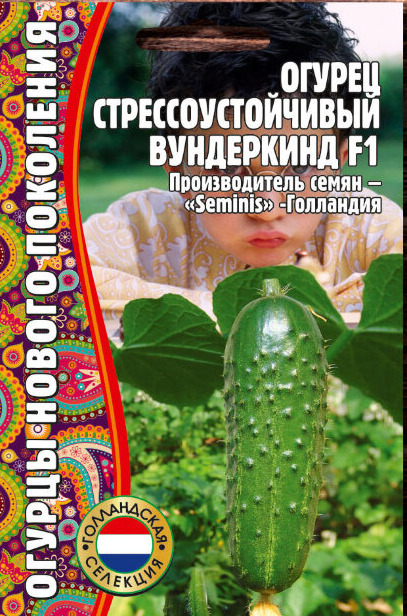 Огурец Вундеркинд: описание и характеристики сорта, правила посадки и ...