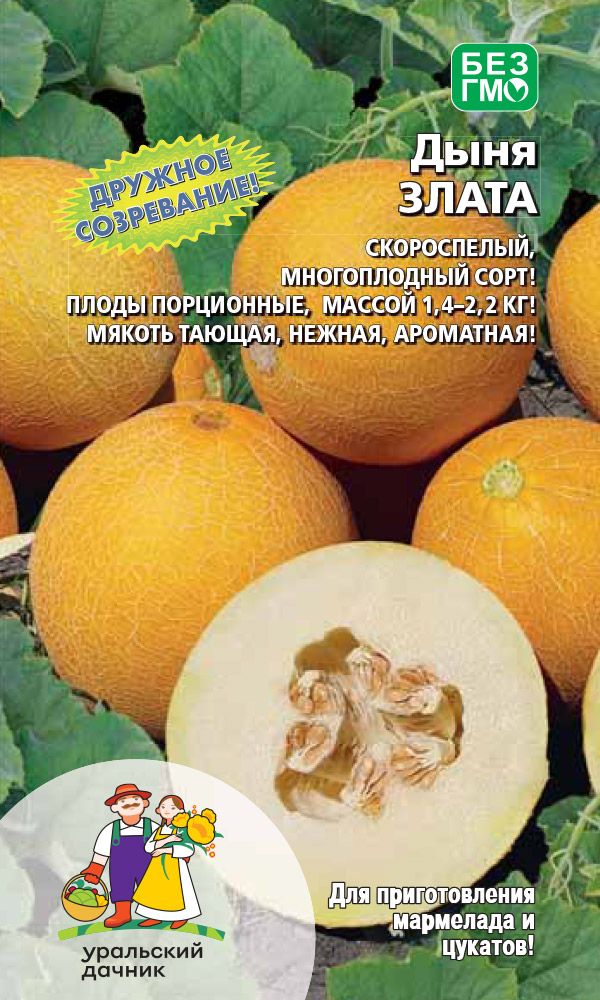 Дыня Злата: описание и характеристики сорта, особенности посадки и ...