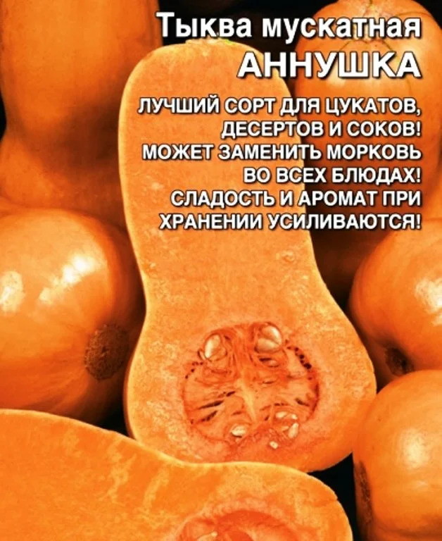 Тыква Аннушка: особенности сорта, характеристика плодов, агротехника ...