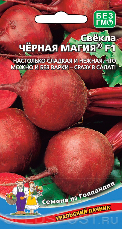 Свекла Черная магия: особенности и характеристики сорта, агротехника ...