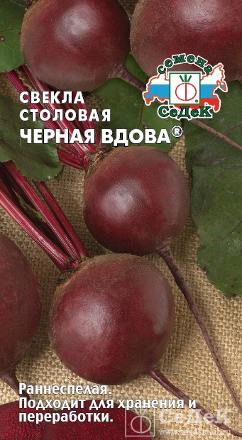 Свекла Черная вдова: особенности и характеристики сорта, агротехника ...