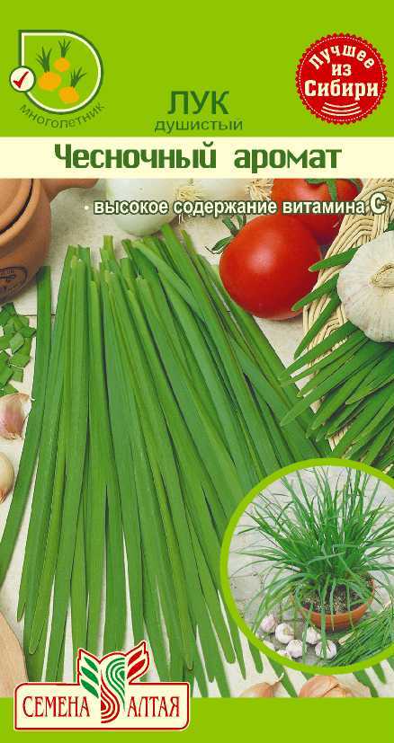 Лук Чесночный аромат: описание и характеристики сорта, агротехника ...