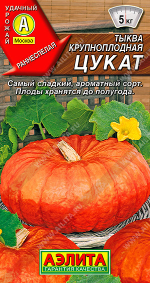 Тыква Цукат: особенности сорта, характеристика плодов, агротехника ...