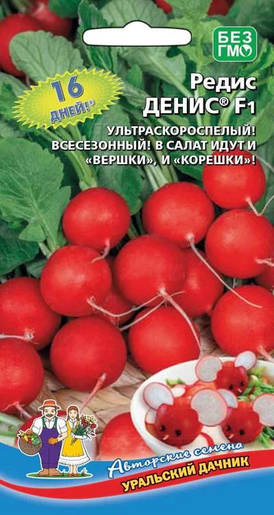 Редис Денис: описание и характеристики сорта, особенности посадки и ...