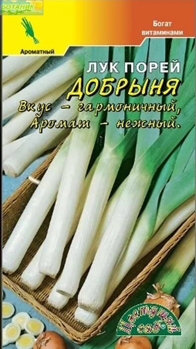 Лук Добрыня: описание и характеристики сорта, агротехника посадки и ...