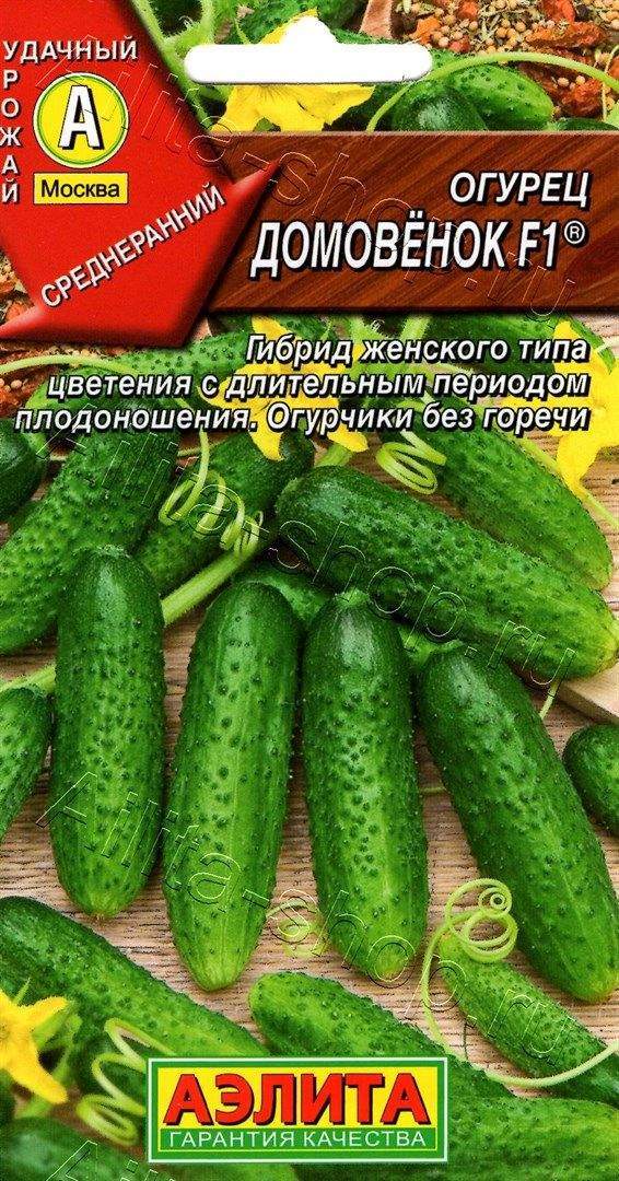Огурец Домовенок: описание и характеристики сорта, правила посадки и ...