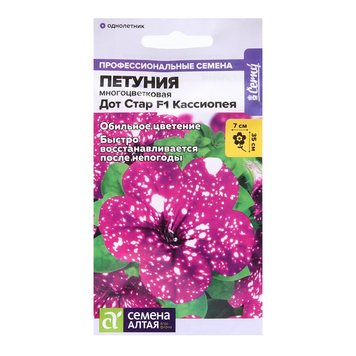 Петуния Дот Стар Кассиопея: описание сорта, характеристики, тонкости ...