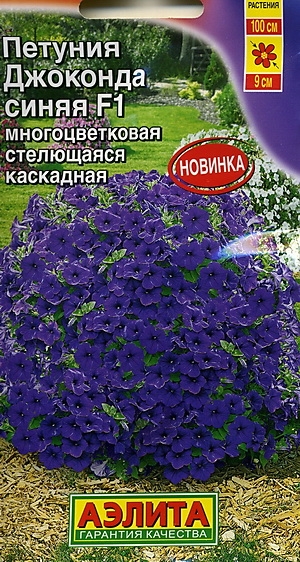Петуния Джоконда Синяя: описание сорта, характеристики, тонкости ...